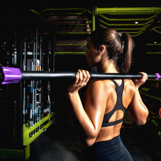 Бодибары ProfIFit