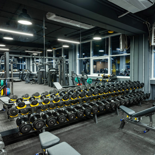 Гантельный ряд POWER (шаг 2,5 кг, 10 пар) PROFI-FIT 27,5-50 кг